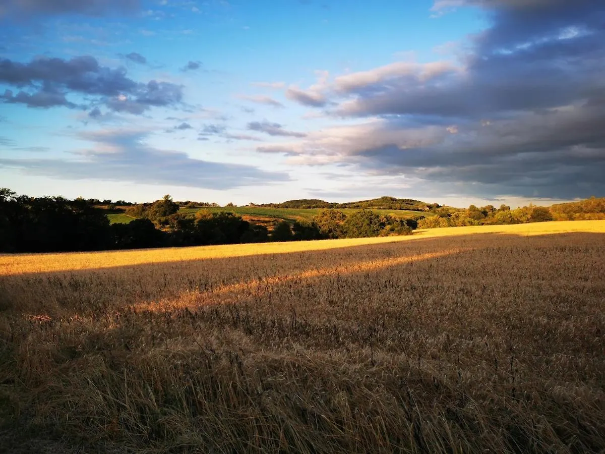 Agreable Maison De Campagne Au Calme Famille Et Amis Roquevidal フランス
